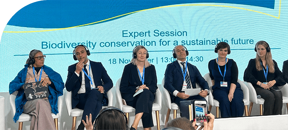 XXIX Конференция сторон Рамочной конвенции ООН об изменении климата