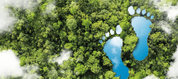 ОРГАНИЧЕСКИЙ РОСТ И РАЗВИТИЕ