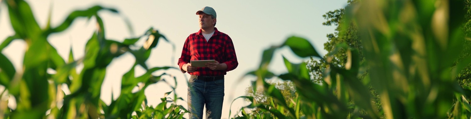 Мужчина в поле